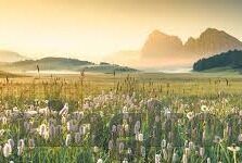 901足球比分网-901足球比分网,足球迷的实时数据乐园