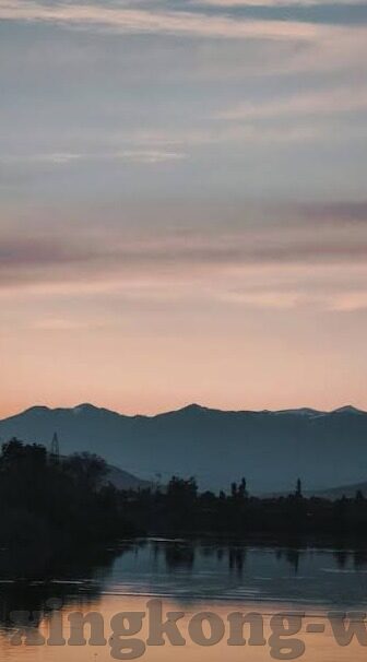 宁夏足球比分网-探秘宁夏足球比分网,绿茵场上的数据宝藏库