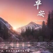 足球比分 品牌官网-从绿茵场到指尖,足球比分背后的品牌官网进化论