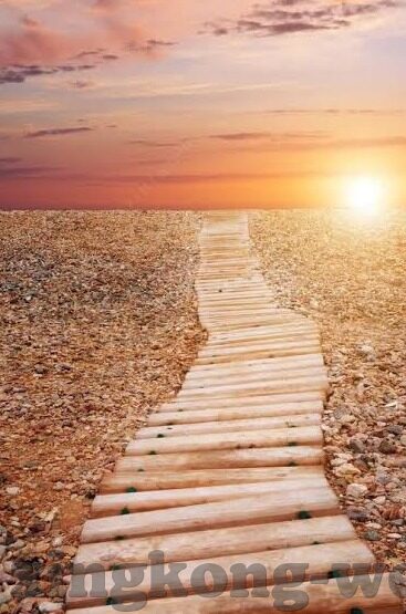 足球即时完场比分-足球即时完场比分,绿茵场上的数字交响曲
